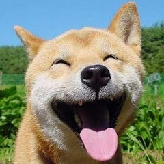 暇つぶしチャンネルの年収 収入はいくら Youtube ユーチューブ