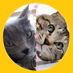 ロンポちゃんねる