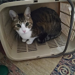 電子少年リュウ