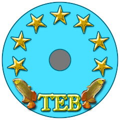 実録ドキュメント鯨道公式チャンネル【株式会社ファンソ】