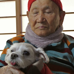 １００歳のじいちゃんとマルチーズハナ