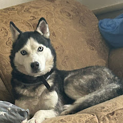 Yaki's Hideout 焼きの隠れ家