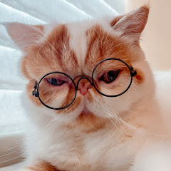 動物ものがたり