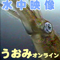 うおみオンライン