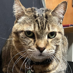 ささやんR garage