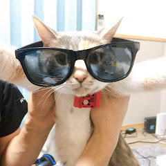 ジョカルルフレンズ