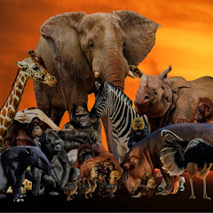 動物の愉快な物語