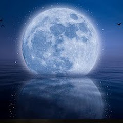 漫画『うさぎとそら』(三定加・UKA) | 兎トソラのゲーム実況