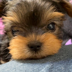 LUNA ANGELチャンネル