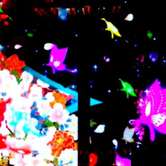 横綱社長慶次ハチミツ