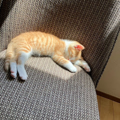 ヒカキン問題発言大好き