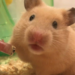 バラバシエイジ。