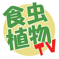 食虫植物TV