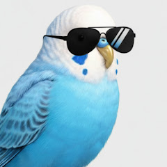 お喋りインコのワダイ【ゴシップ】