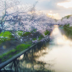 かわ【切り抜き】