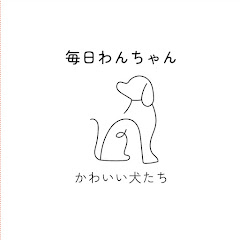 毎日わんちゃん動画