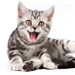 2chお笑いまとめTV