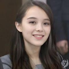 ドラレコちゃんねる&猫動画