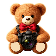 テディーさんのニュースを1分で見ていこう