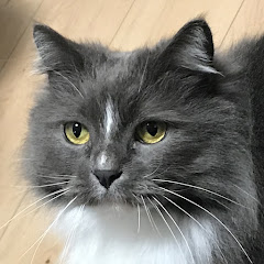 まなぱぱちゃんねる