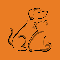 感動アニマルズ 〜どうぶつたちの感動物語〜