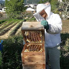 Japanese natural beekeeping